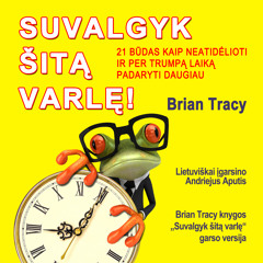 Brian Tracy audio knyga „Suvalgyk šitą varlę“. Ištrauka. Pirmas Skyrius. Sudarykite planą