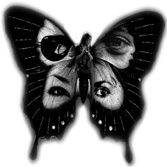 Project Dimitar Voev - Novata mi kola