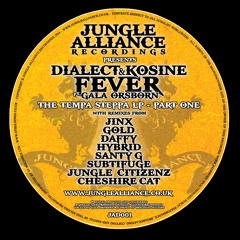 Fever ft Gala Orsborn by Dialect & Kosine (Jinx Rmx) Out Now on Digital Download
