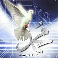 هدي الحبيب يقودني