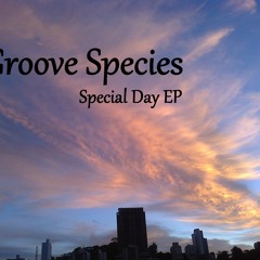 Special Day (Original Mix)/ Special Day EP (2014)