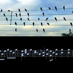 What Do U Sing About