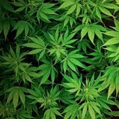 So High - Roots I Riddim