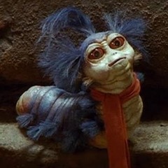 Hoggle vs Willow..Orca wins