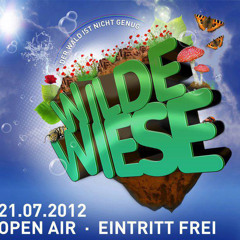 Dominic Banone @ Wilde Wiese "Open Air" 21.07.2012 (Hofheim, Germany)