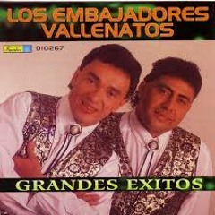 Embajadores Del Ballenato Rmx 140