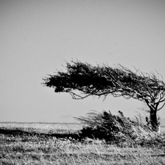 ... a chasing after the wind