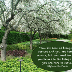 Self Service - Ophelia the Faerie, Channeled by Daniel Scranton