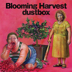 dustbox.