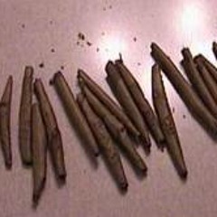 L's (Dula ft Shawn Don)