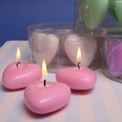 Never Ending Love By : Albert West & Anita Meyer