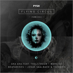Pysh_Little Big Planet (snippet) - WAREIKA Remix // Einmusika