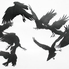 The Blackest Crow (feat. Sophie Janna)