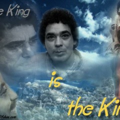 مختارات منيريه