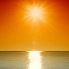 Toby Mulherrin - Fuck This