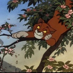 O'Malley, Former Underdog