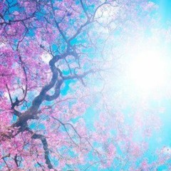 Hai kỷ niệm một chuyến đi