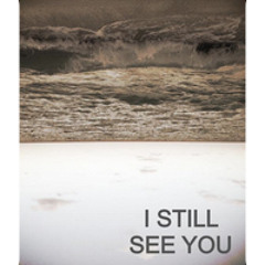 I Still See You