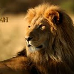 Fuerza en ti (THE LION OF JUDAH ) 2014 KING OF KINGS RECORD -ILIMITED-