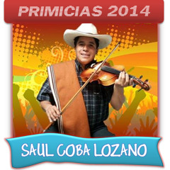 SAUL COBA LOZANO 2014-03-LA QUE UN DIA SE FUE