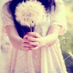 Tulus - Teman Hidup cover by gita