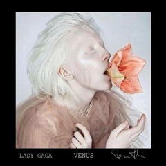 Lady Gaga Venus Remix
