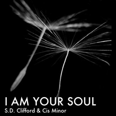 I AM YOUR SOUL - Poem By S.D. Clifford