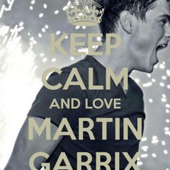 tremor - Martin Garrix ft  Drimiti vegas