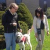 CBC PEI Mainstreet Interview about Ethan the Autism Assistance Dog CBC PEI Mainstreet Interview about Ethan the Autism Assistance Dog