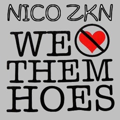 Nico Zkn - No Love For Hoes | Prod. by CashmoneyAP
