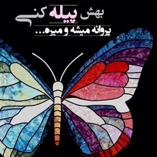 بهت پیله کردم نمی مونی پیشم at مرتضی پاشایی