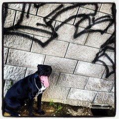 Zoey Bear high as shit freestyle  at NUNYA [PROD. GO GRIZZ'