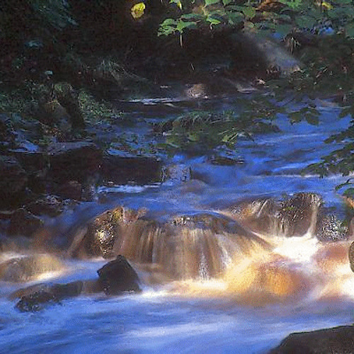 El Río va fluyendo