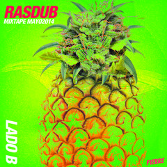 FIEBRE MIXTAPE 003 by RASDUB (LADO B)