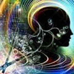 Kingkong - Free Will