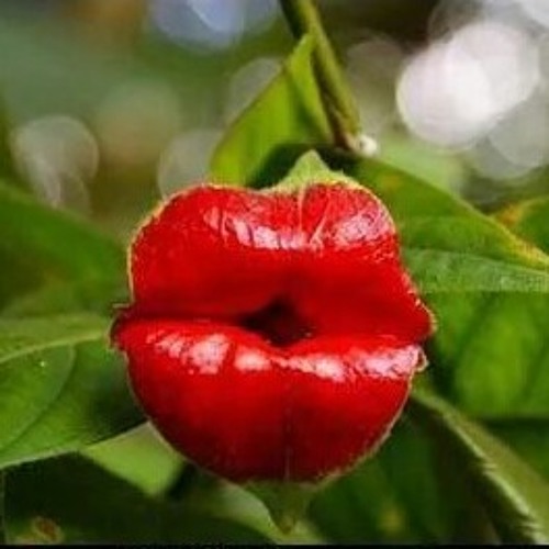 SAYISO...Good old days