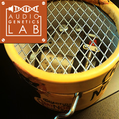 AGL MusicBox - Demo1 "Lullaby"