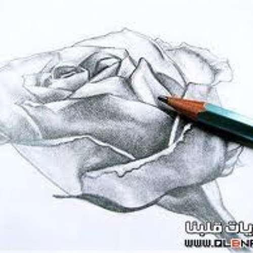 أغنية متستغربش - فيروز - اغانى سنجل 2010 - طرب توب