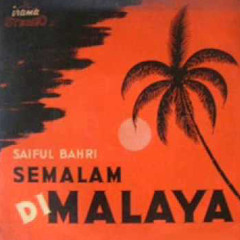 Nina Kirana - Pergi Tanpa Pamit (Orkes Saiful Bahri)