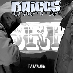 Ich Hab Den Parawahn