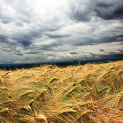 #kontrastreich(DJ Mix)