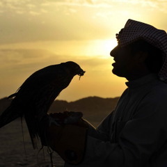بدر بن عبدالمحسن : الخل العنيد
