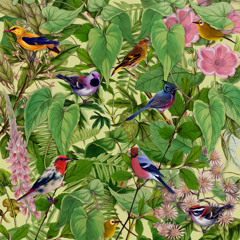 Sketches from an Island Album (samples) - Release Date 2nd June