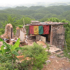 King Opossum - Pinnacle Riddim