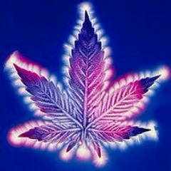 New private playlist