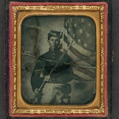 Bees At Antietam- A Ballad