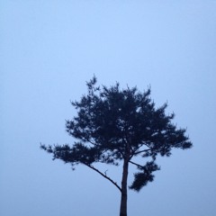 Painted Blue (푸른 하늘을 그리며) Saturdays_21 Dmajor