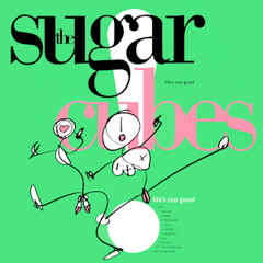 Sugarcubes 1988 - 03 - 12 Mayo Session