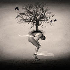 Nobody will : Nobody can