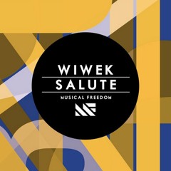 Wiwek - Salute (Suli Breaks Mix)